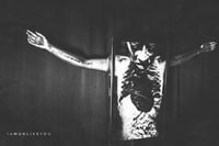 Image 2 of Parting Martyrs in Myxoma [video sculpture] *CONTACT IF INTERESTED*