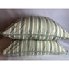 Ralph Lauren Men's Shirting Cotton Stripe Designer Pillow With Down Insert