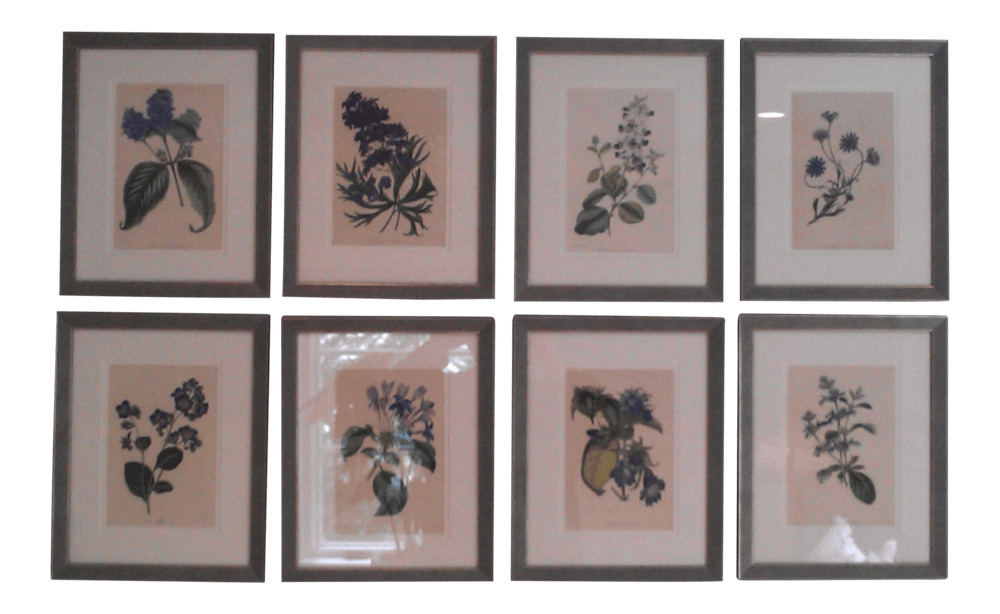 Late 19th Century Antique Hand Colored Botanical Prints Series - Set of 8