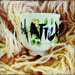 Image of Upcycled Madysin Hatter Decorative Tea Cup