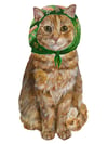babushka Jupiter