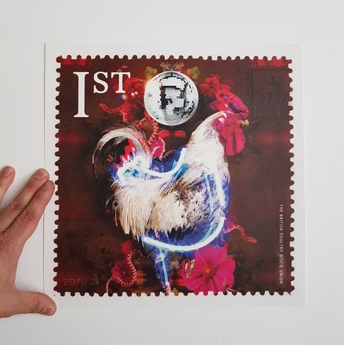 Image of British Poultry Disco Union