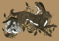 Brambles, Rowan and the Hare