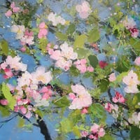 Apple Blossoms