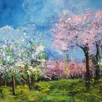 Blossom Trees