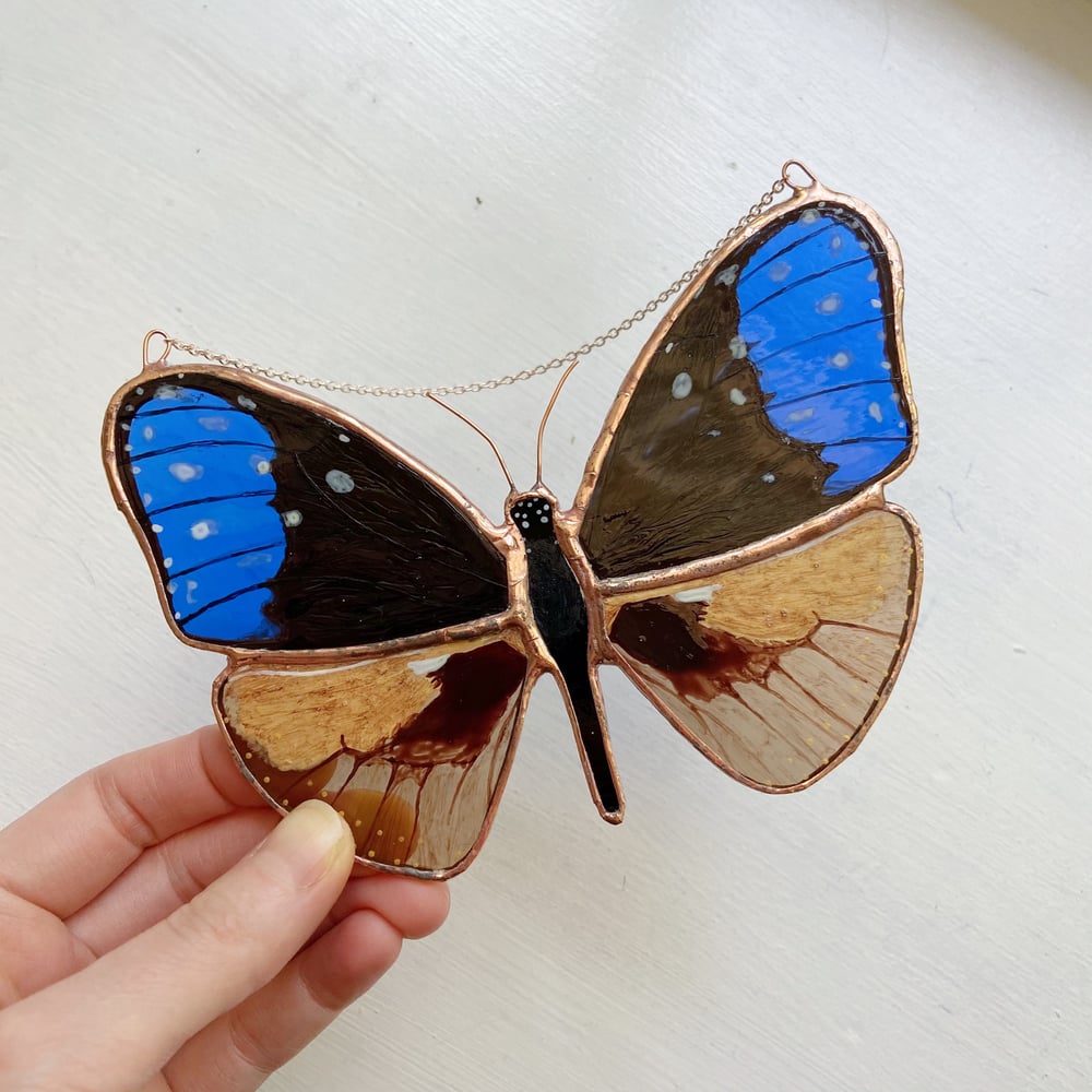 Image of Blue Crow Butterfly