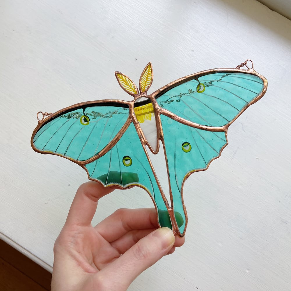 Image of Luna Moth no.2