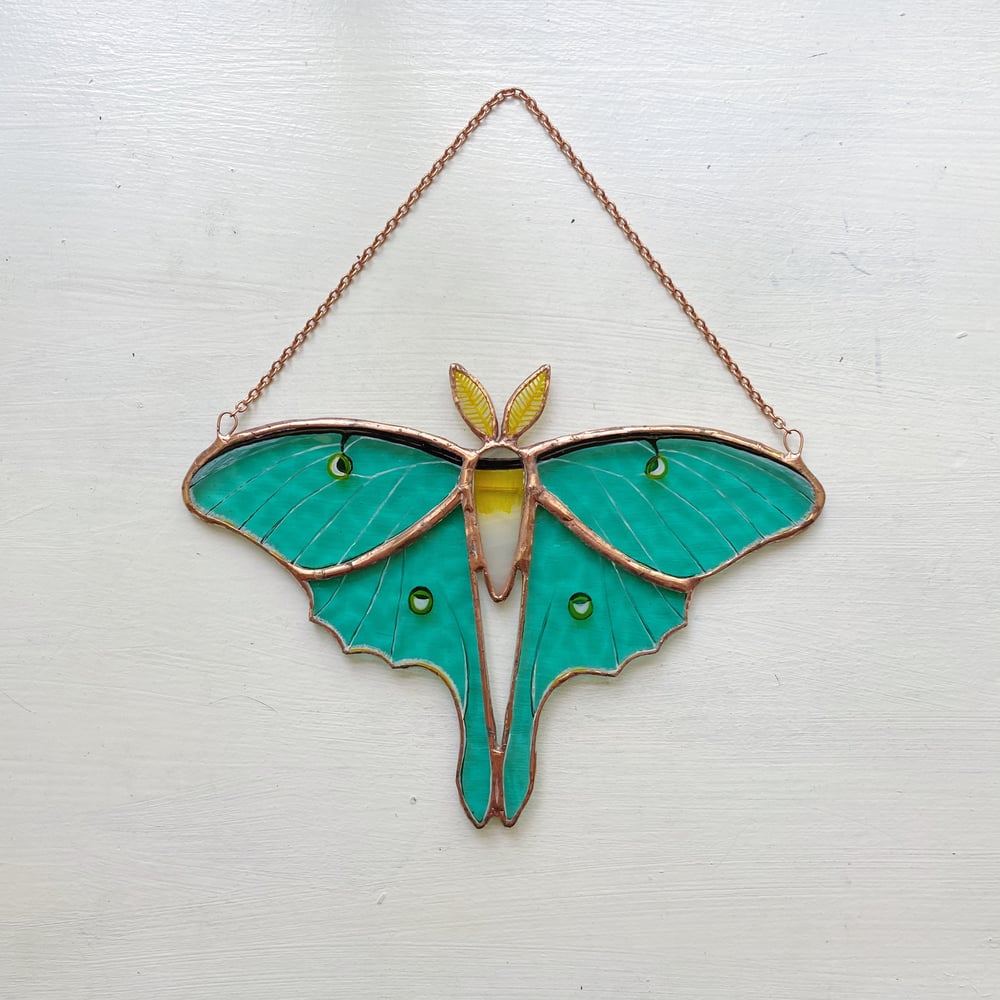 Image of Luna Moth no.2