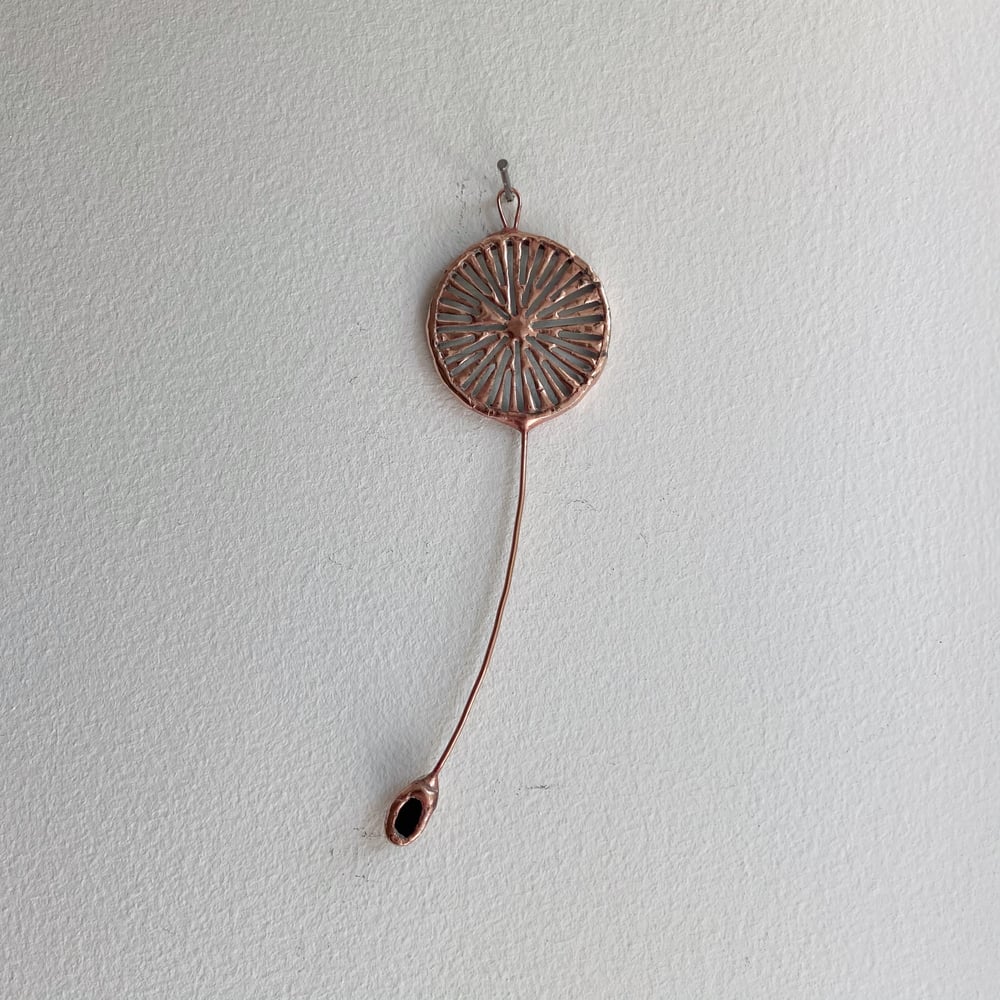 Image of Dandelion Seed no.6