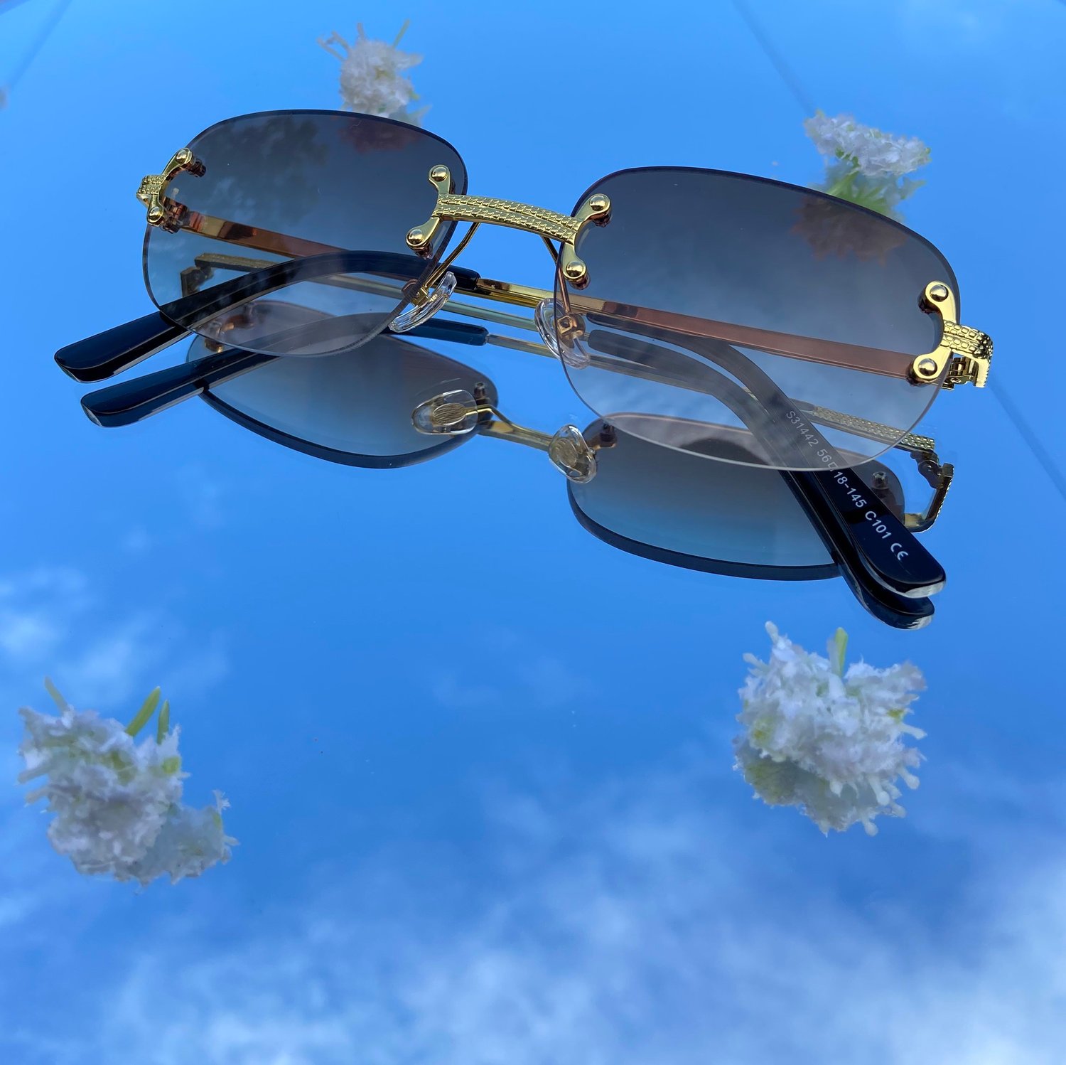 Image of Brown Coco Shades