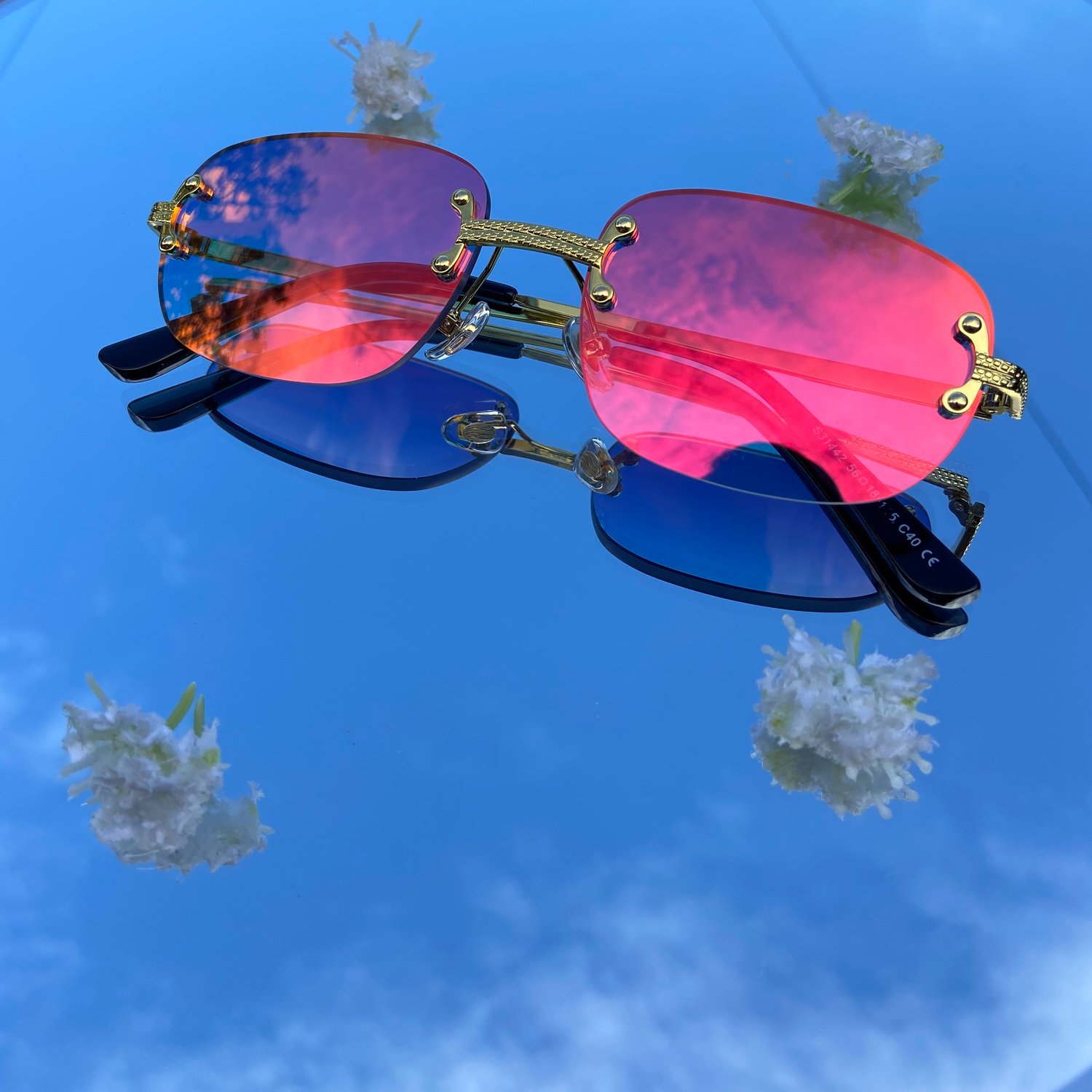 Image of Sweet Candy Shades