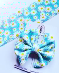 Daisy, Daisy Pinwheel