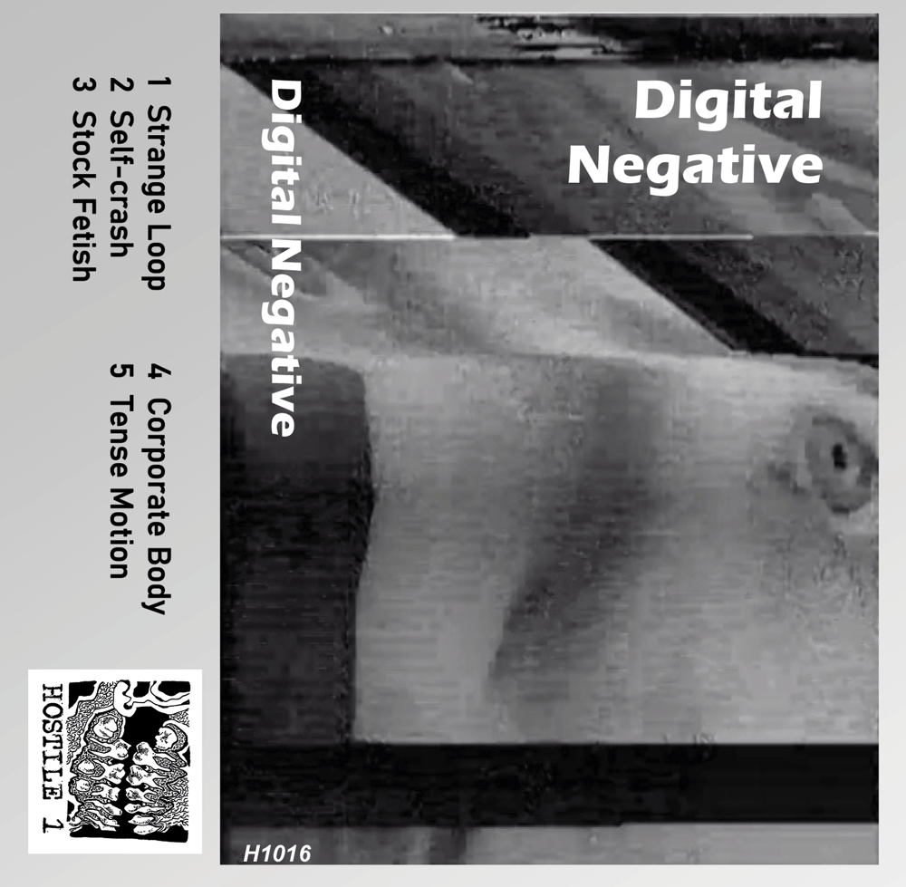 Image of Digital Negative