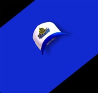 Blue Ranger