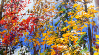 Image 3 of - Blue Skies -