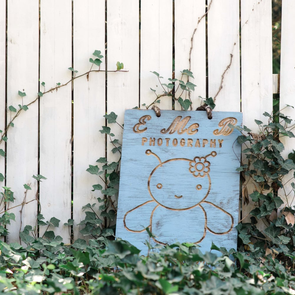 Image of Sunday June 13 minis Retainer