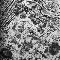 Image 6 of Erotica #29