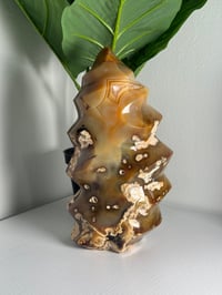 Image 1 of XXL MOODY CARNELIAN FLAME -MADAGASCAR-