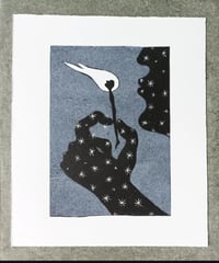 Vanitas