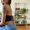 STAPLE HALTER  : BLACK RIBBED 