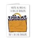 Bag Of Badgers