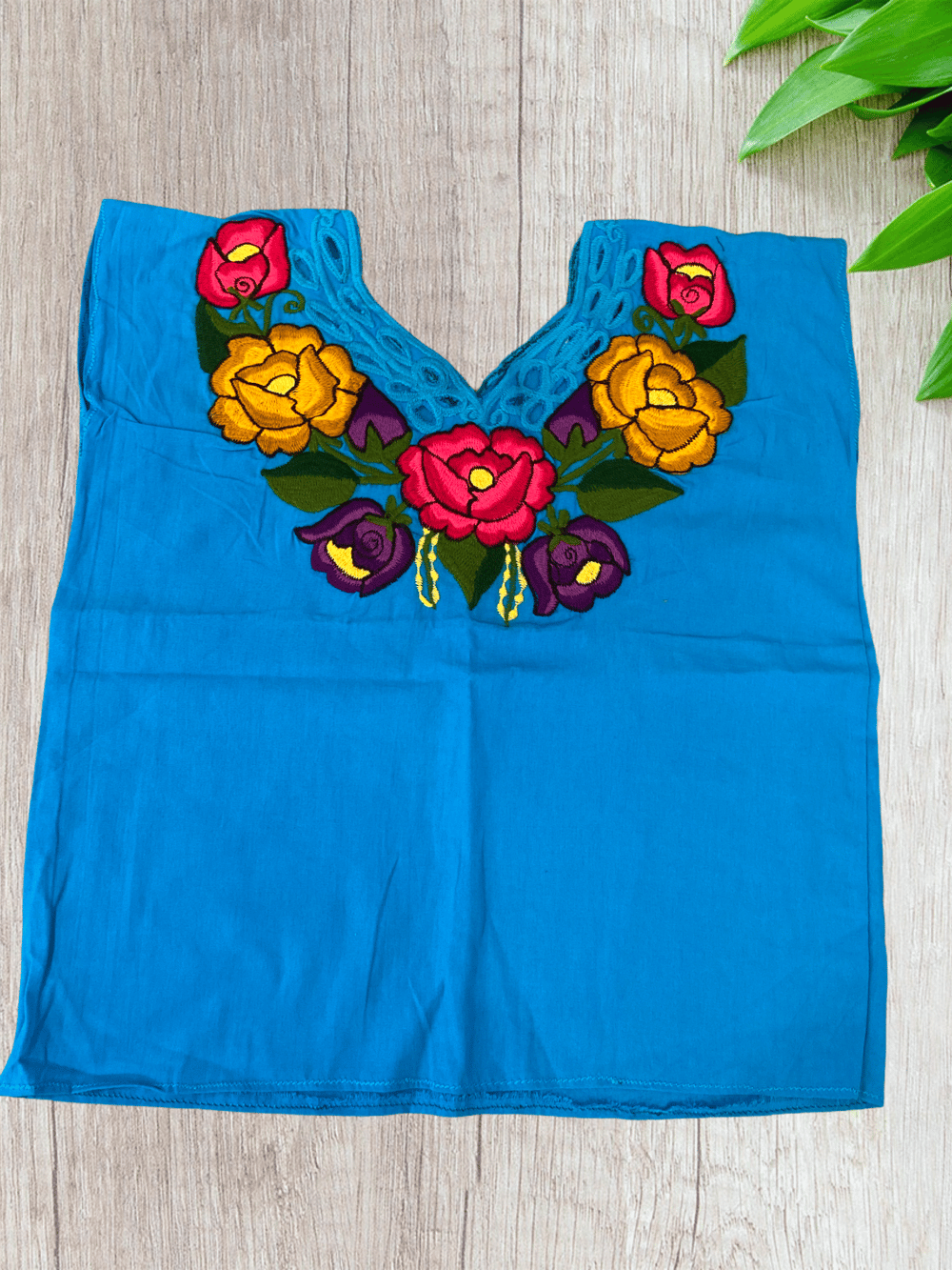 Embroidered Blusa- M