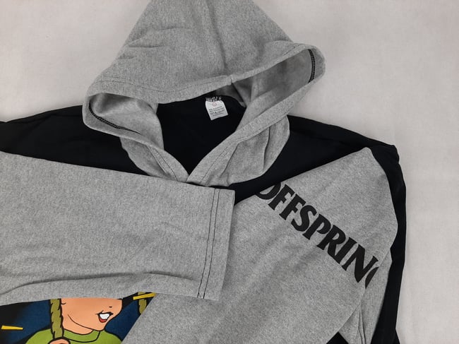 1998 The Offspring Hoodie