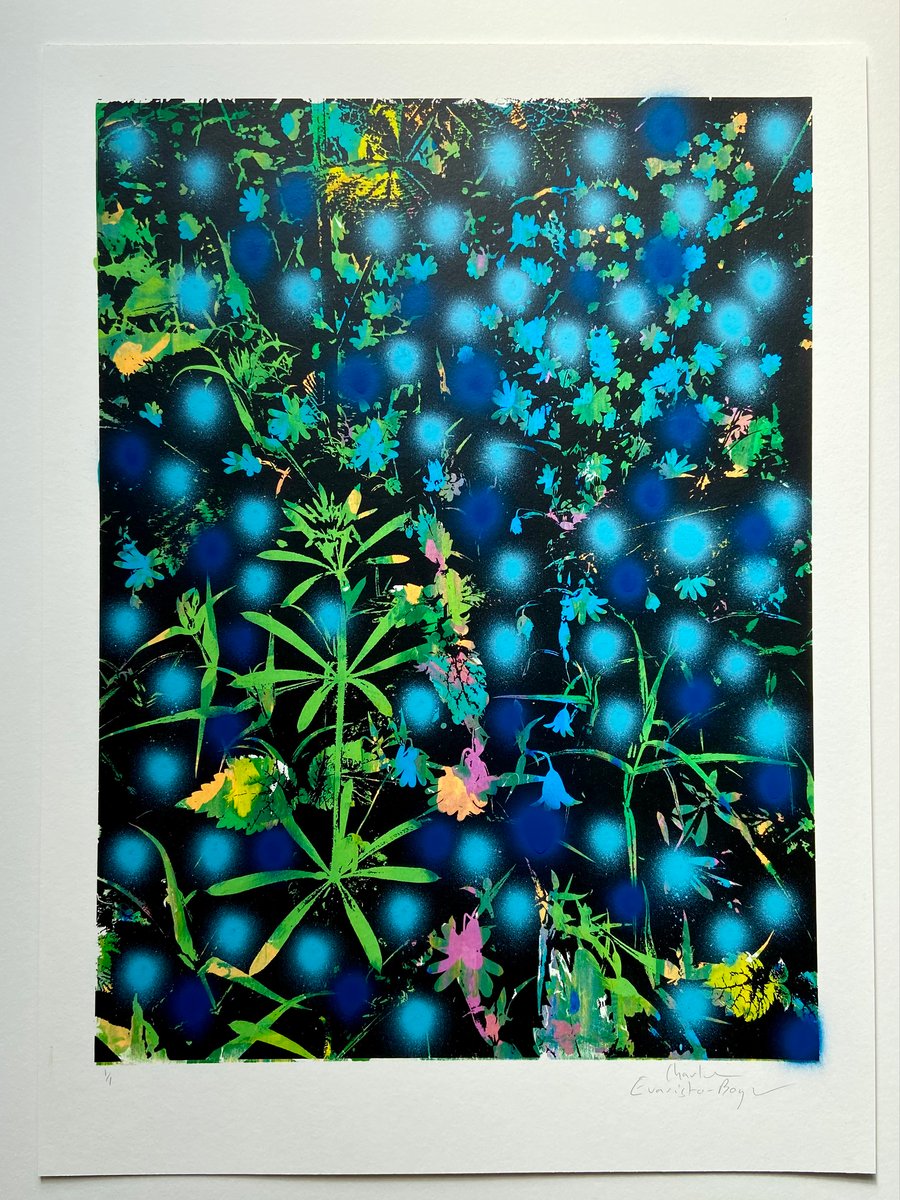 Late Spring 3 (Cleavers and Colour Drops) Charlie EvaristoBoyce Gallery
