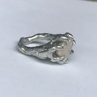 Image 3 of Precious Ring | Custom Size