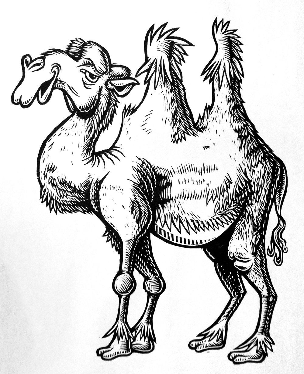 Camel T-shirt (B2) **FREE SHIPPING**