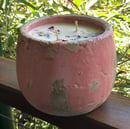 Image 1 of The Pot Medium Pink