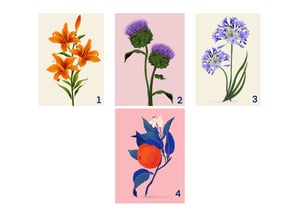 Illustrazioni botaniche II