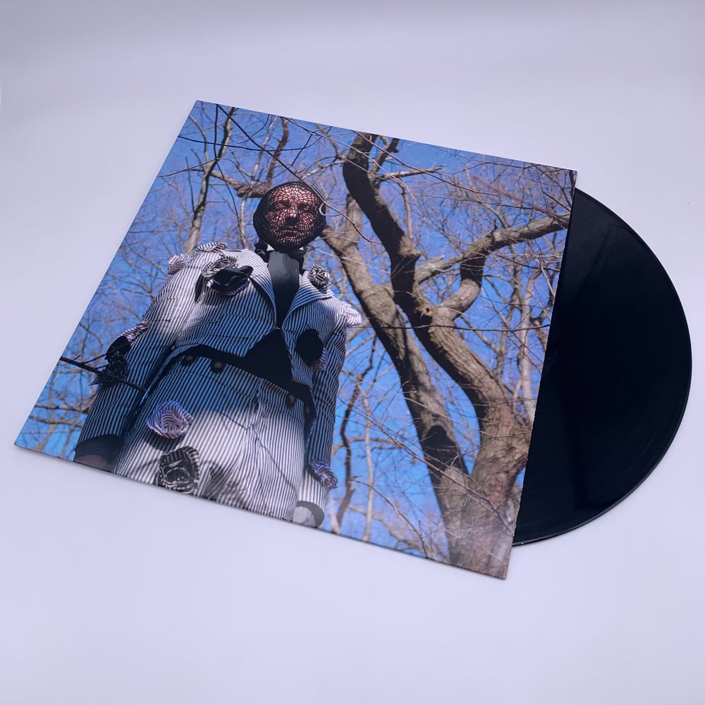 Daedelus - What Wands Won’t Break (180g vinyl)