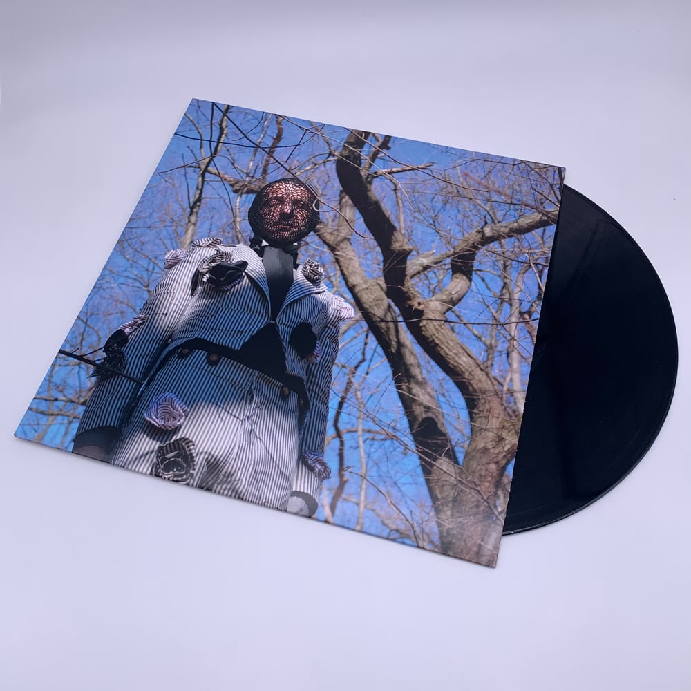 Image of Daedelus - What Wands Won’t Break (180g vinyl)