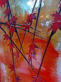 Image 3 of Original Canvas - Japanese Maple on Crimson/Grey/Sienna - 50cm x 20cm