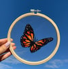 Monarch Butterfly on Tulle 