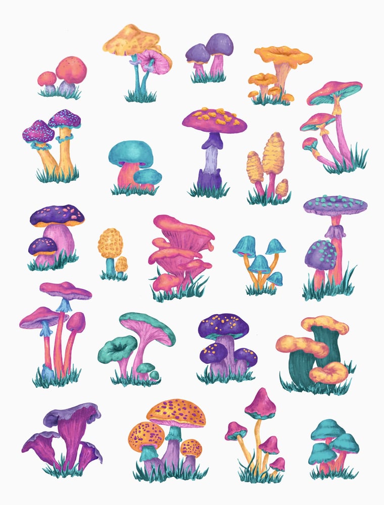 Image of Mushroom Chart