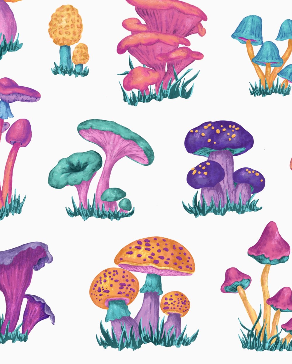 Image of Mushroom Chart