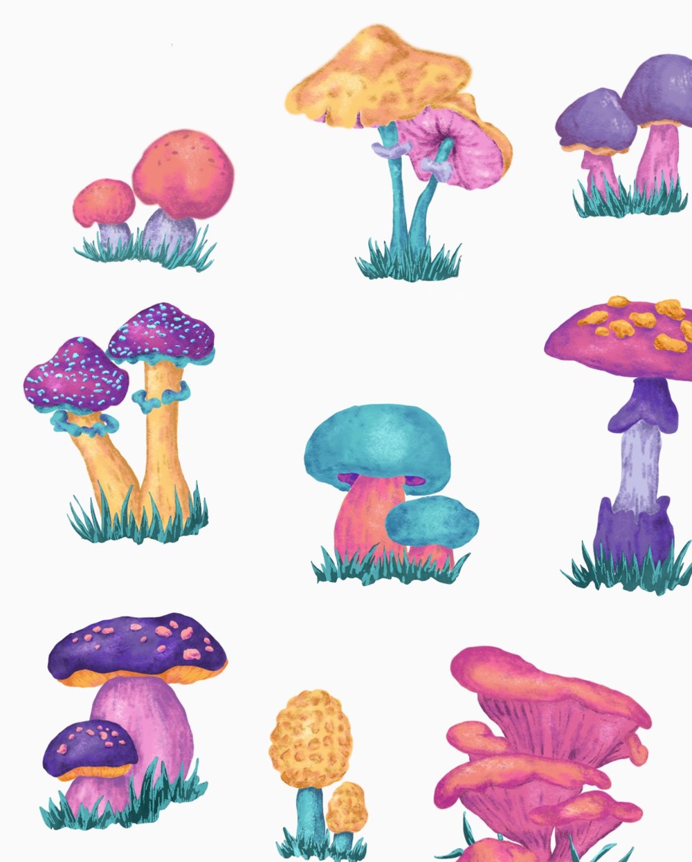 Image of Mushroom Chart