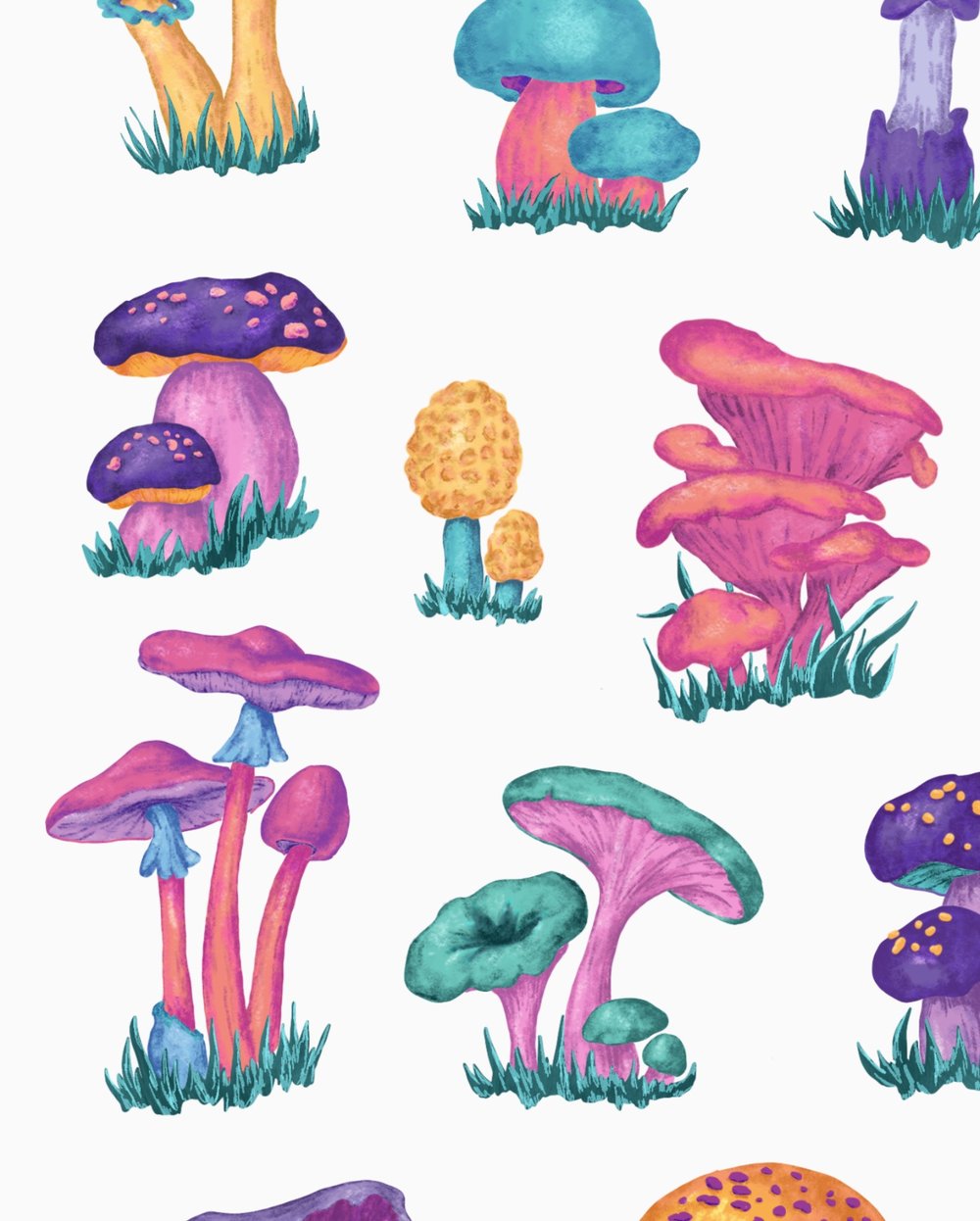 Image of Mushroom Chart