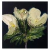 ‘Magnolia’ 2021 Oil on canvas