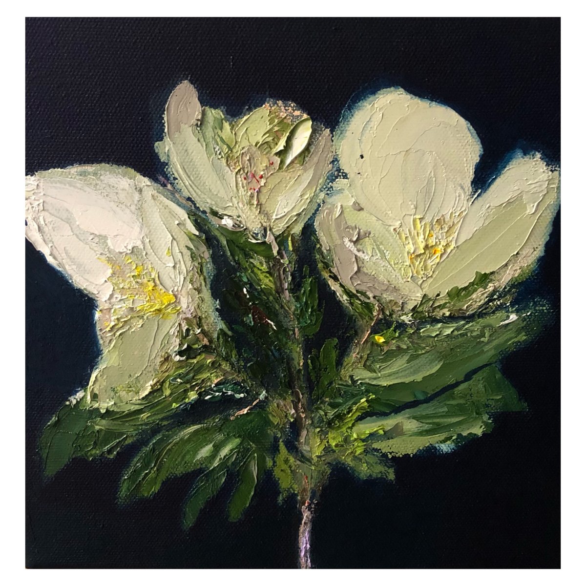 Image of ‘Magnolia’ 2021 Oil on canvas