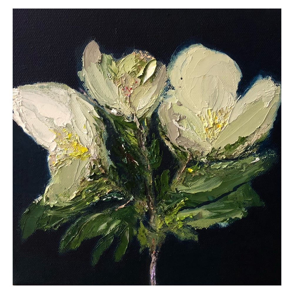 Image of ‘Magnolia’ 2021 Oil on canvas