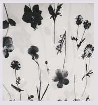 Image 1 of Tissu: a black & white herbarium
