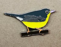 Image 2 of Canada Warbler - No.59 - UK Birding Pins