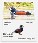 June 2021 UK Birding Pin Releases