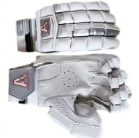 Image 2 of Cricket Platinum Edition Test Batting Gloves