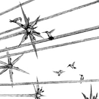 Image 2 of Fleur de Vie