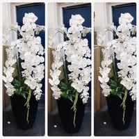 Matt Black XXL floor standing orchid arrangement 