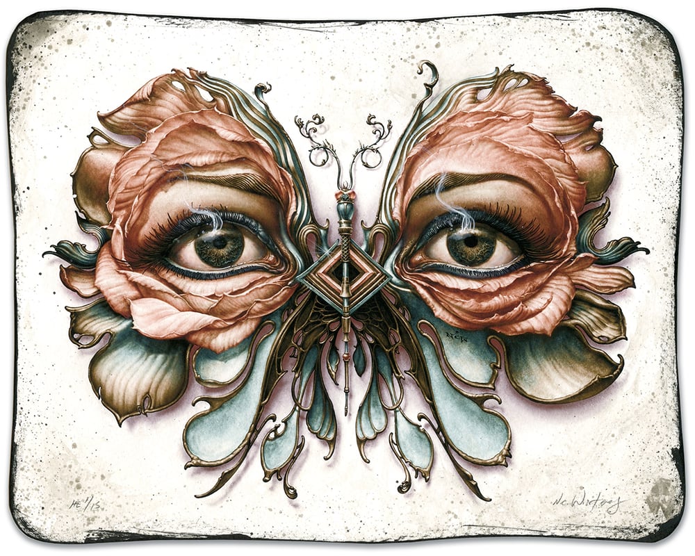 Image of Lepidoptera 6 & 7